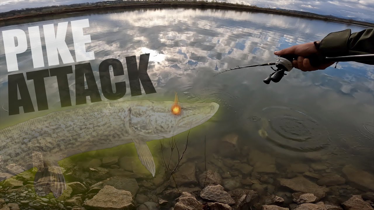 UN ATTACCO DA BRIVIDI SOTTO I MIEI OCCHI  - Pesca al Luccio in Lago a spinning - PIKE FISHING