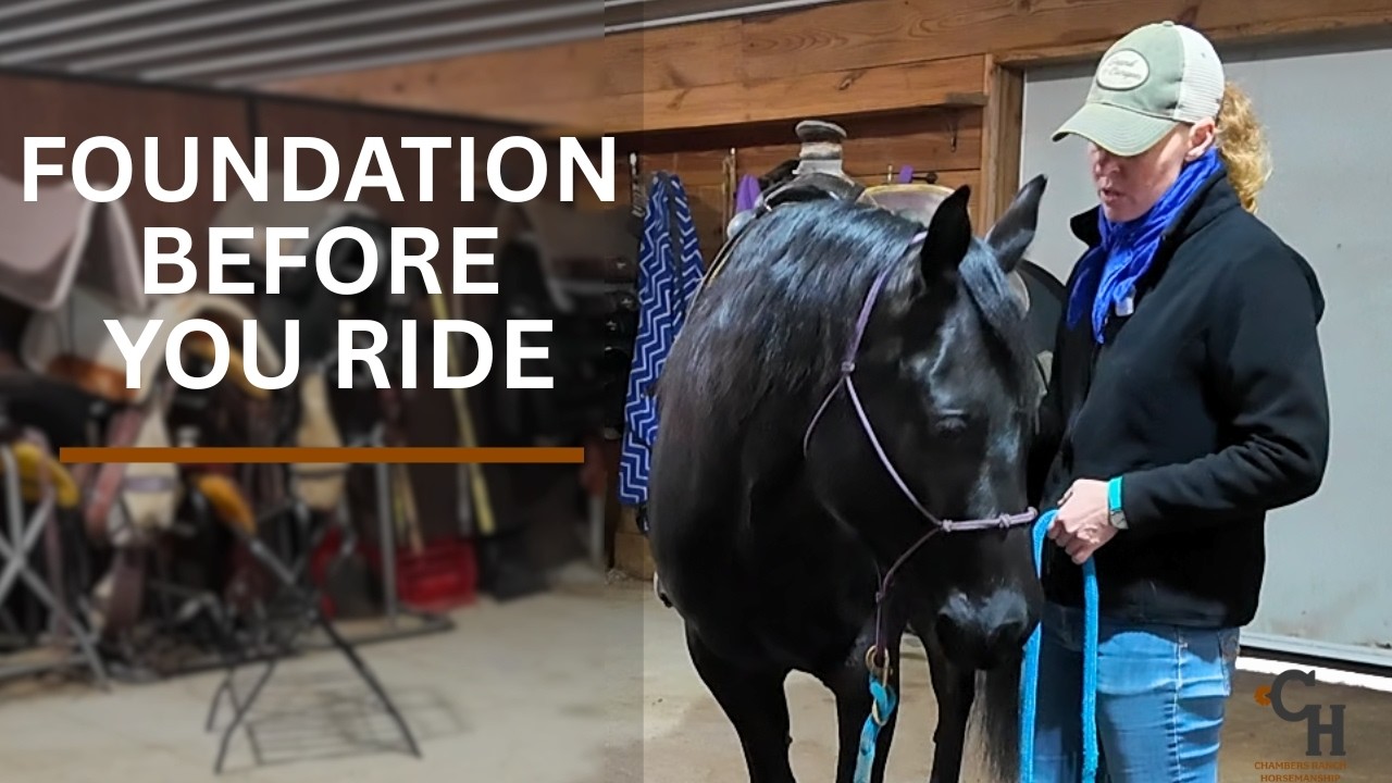 Building Responsibility in Horses (It Starts Before You Ride)