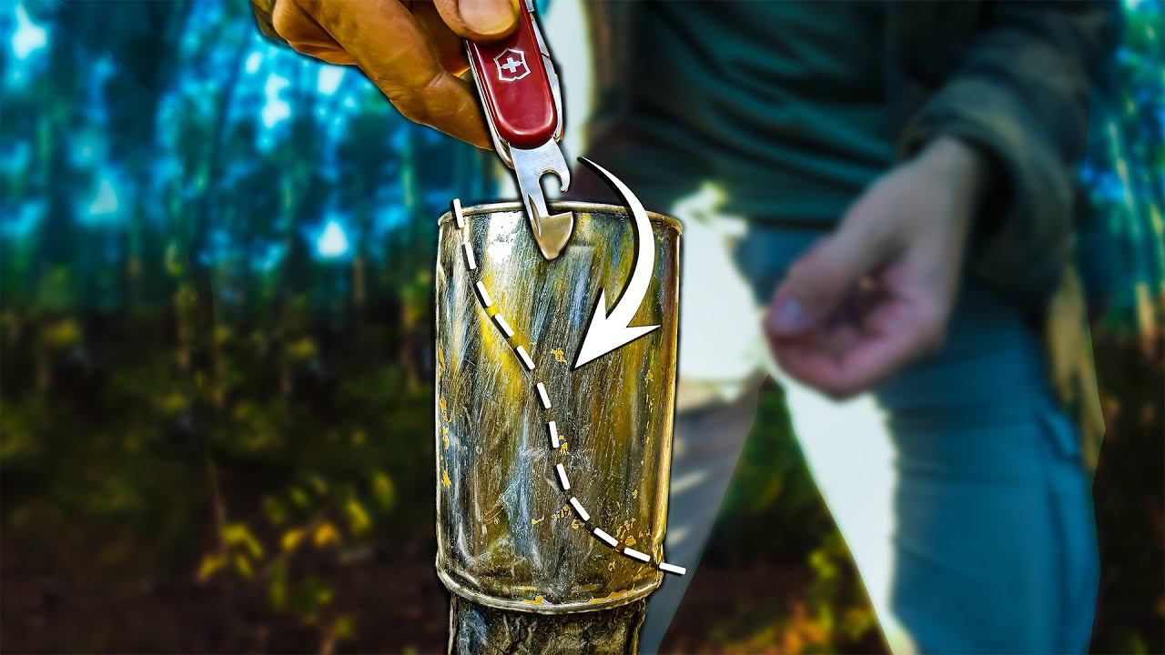 Amazing Camping trick's and Survival HACKS in the forest