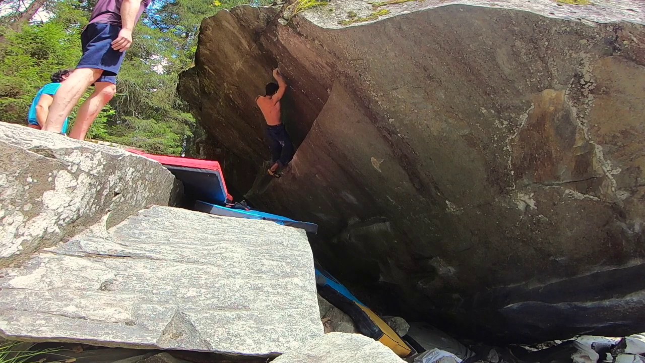Magic Wood - Du coté de Seshuan fb.7c+