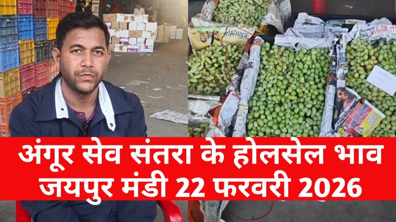 अंगूर संतरा सेव के ताजा भाव 22 फरवरी 2026 | सेव भाव  jaipur fruit market | jaipur mandi bhav