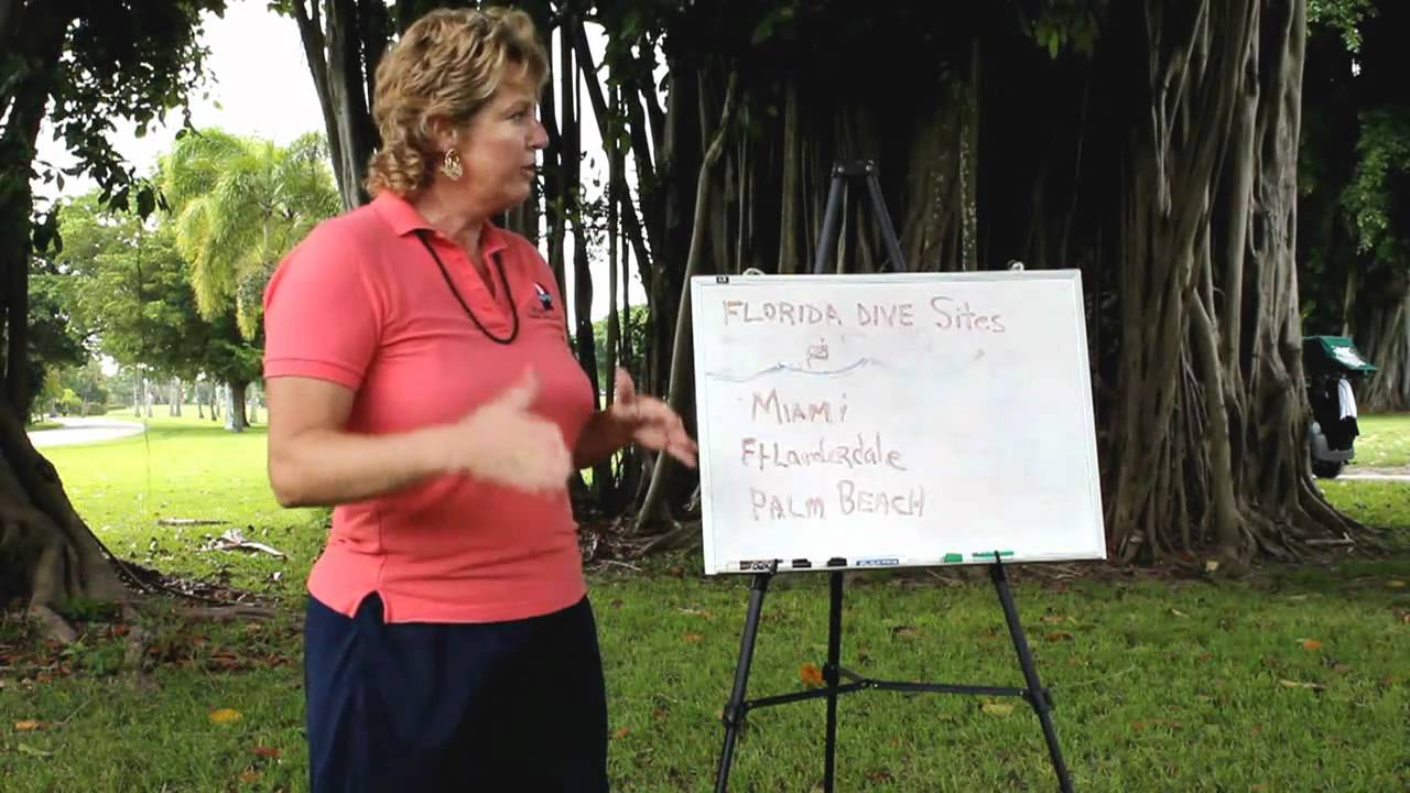 Scuba Diving Florida and Florida's Best Dive Sites