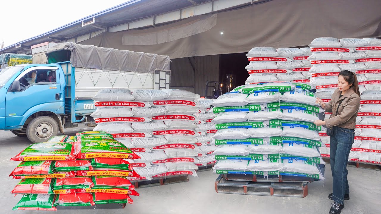 Use Trucks To Buy Animal Feed From The Factory and Transport It Sell To People. My Farm / Đào