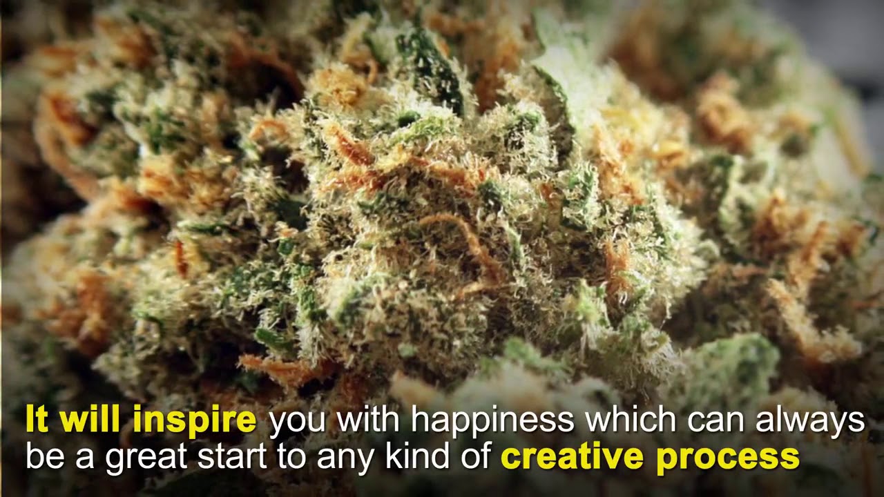 What Marijuana Strains Help With Creativity?