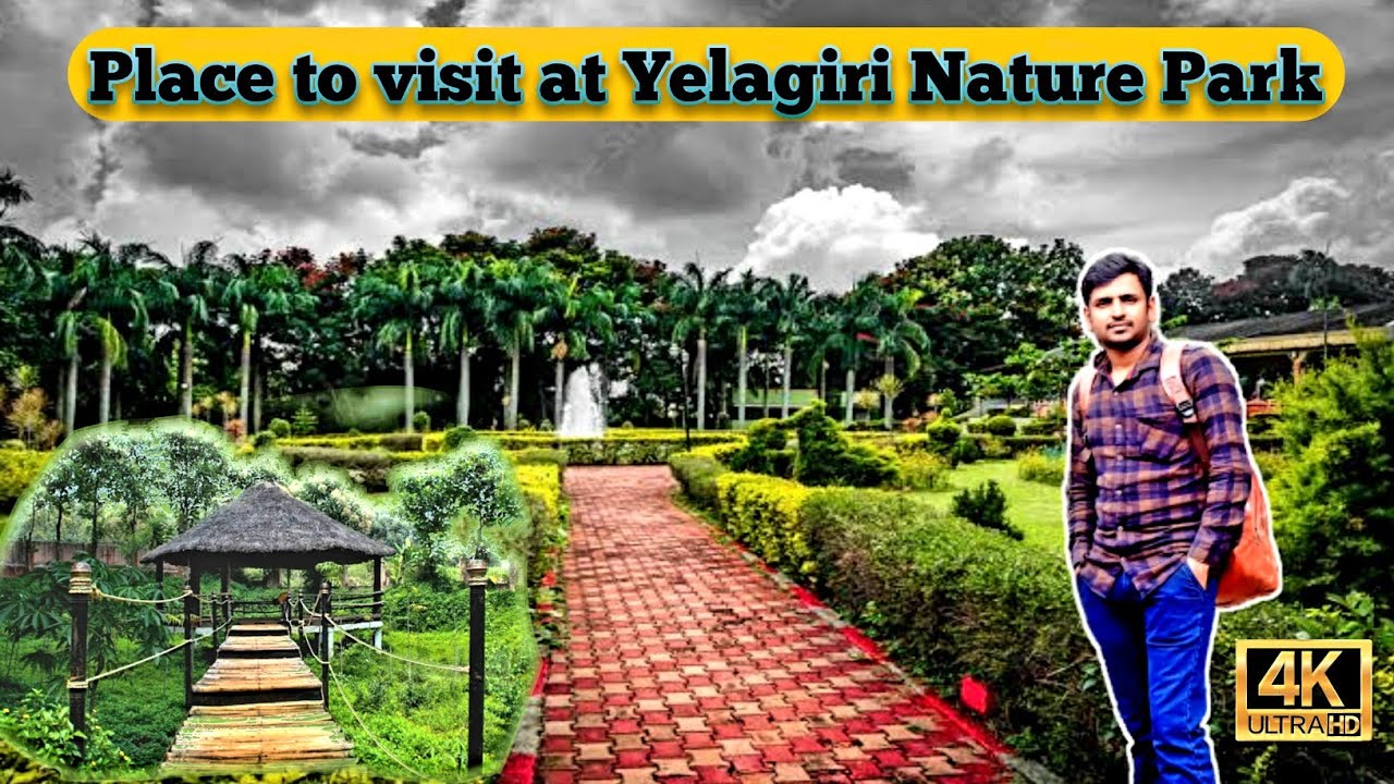 The Best Place To Unwind | Yelagiri Hills Nature Park Ep 3 #yelagiri #explorewithiftu