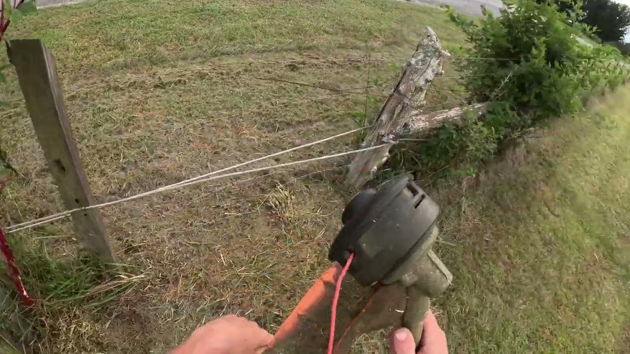 Weedeating a little at home!