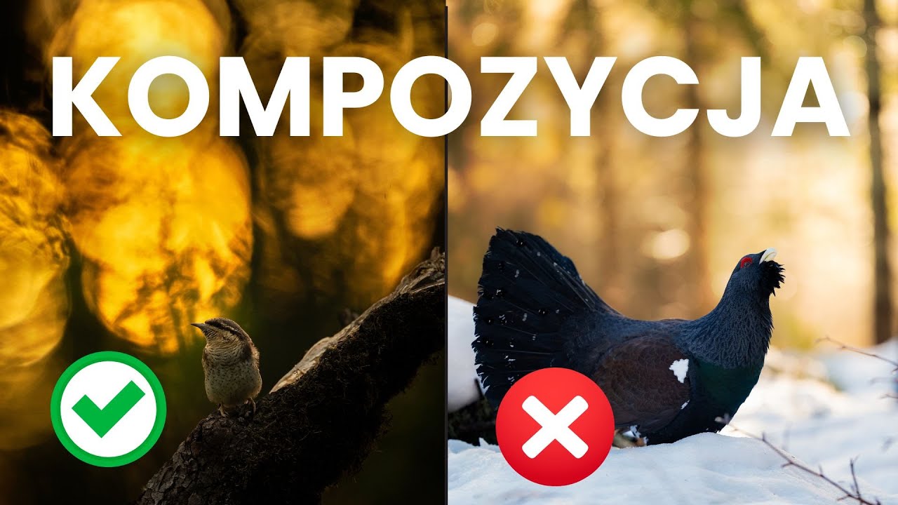 Dlaczego Wasze zdjęcia wyglądają źle? (szczera analiza + porady)