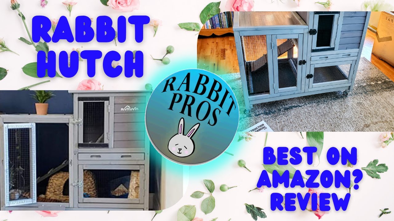 Aivitunin Rabbit Hutch AIR10 - Rabbit Hutch Review. Best Rabbit Hutch On Amazon?