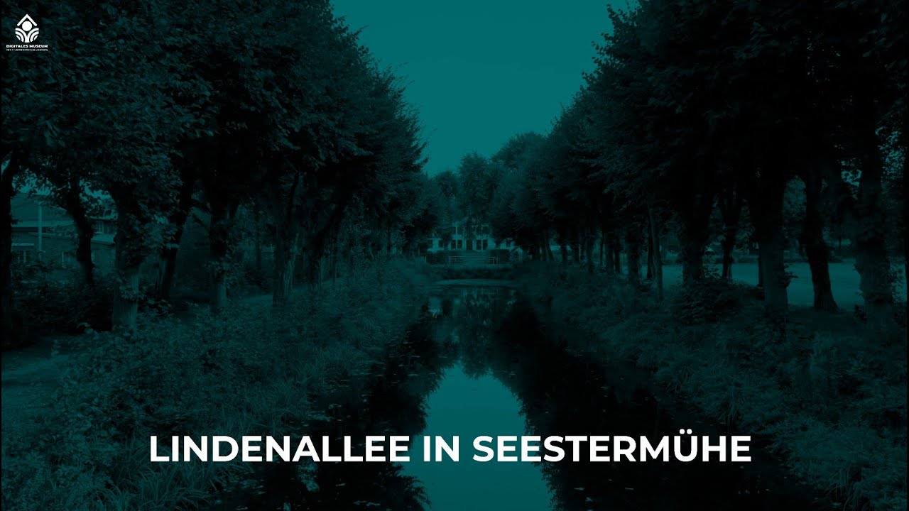 Lindenallee in Seestermühe