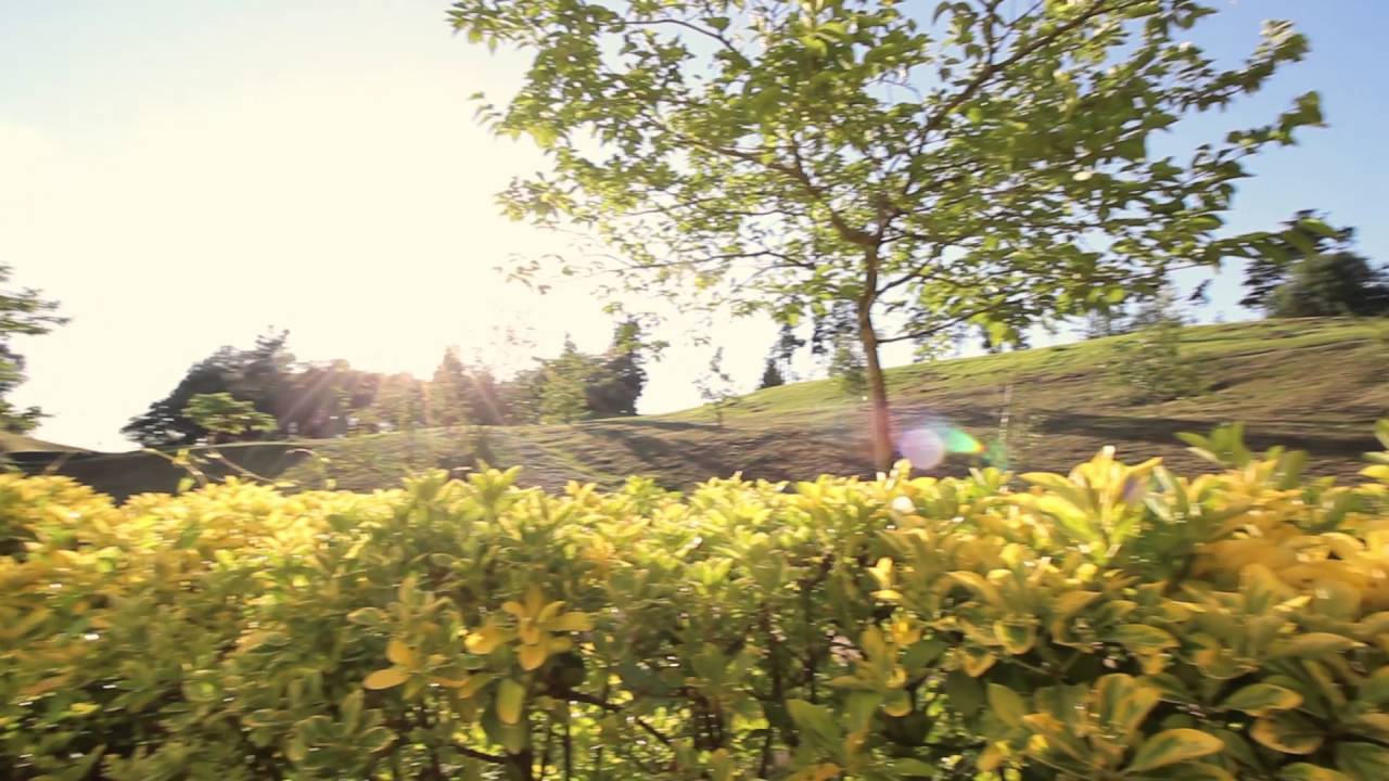 Palacio Urgoiti | Vídeo promocional