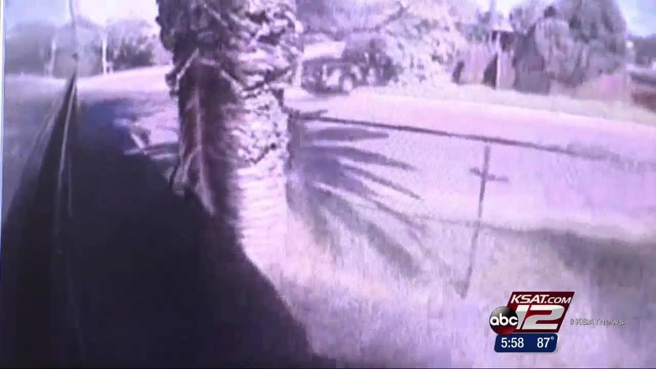 Video: Stunning video shows VIA bus crash into home