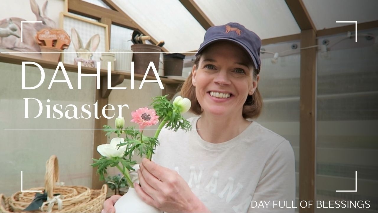 Dahlia Disaster: What I Won’t Buy Again 🌸