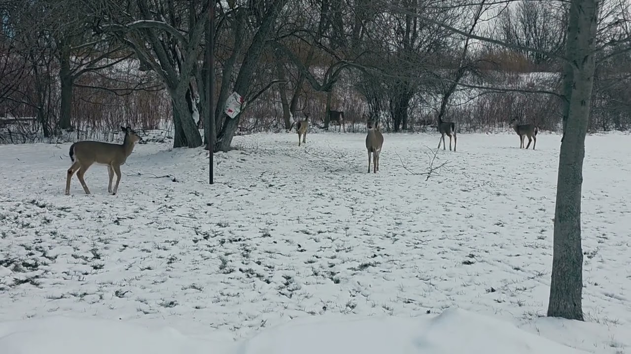 When your neighbors are this beautiful...
