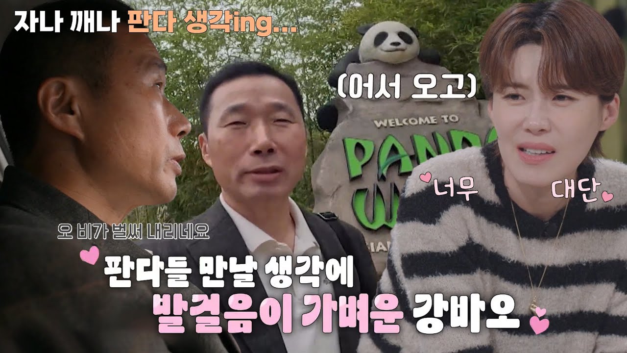 강철원 사육사, &lsquo;바오 가족&rsquo; 생각으로 가득 찬 출근길! #푸바오와할부지 #SBSenter