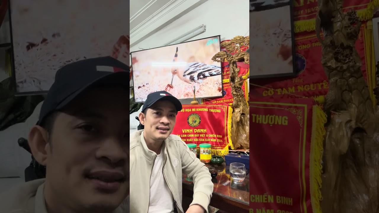 Câu Chuyện Chú Họa Mi Tam Nguyên ( Phần 2 ) - Điệp : 0908.070.555