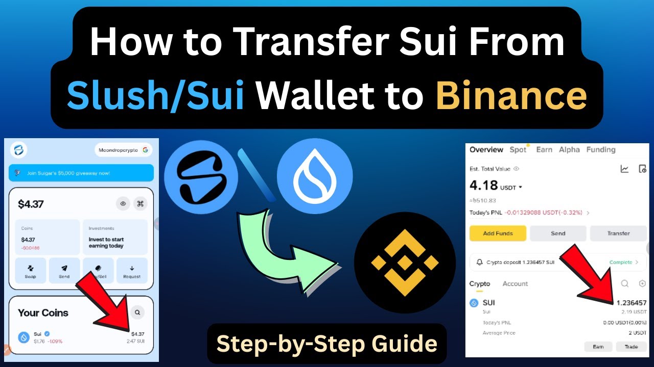 How to Transfer Sui From Slush/Sui Wallet to Binance | Sui Wallet to Binance Transfer