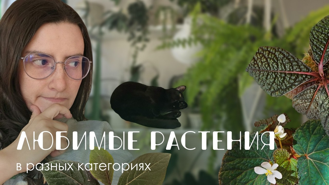 Оставить только одно: выбираю самые любимые растения из каждой группы.