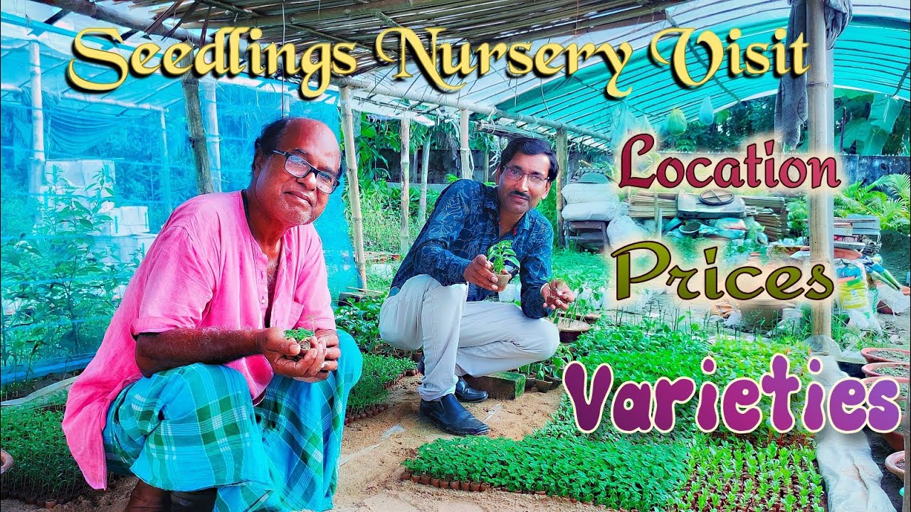 Visit to an Excellent Seedlings Nursery with Prices and Brands