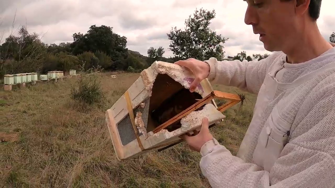 APICULTURE. 2023 C'est la Fin ?! Analyse des catastrophes, nouveau 4x4 (panne en direct) craquage...