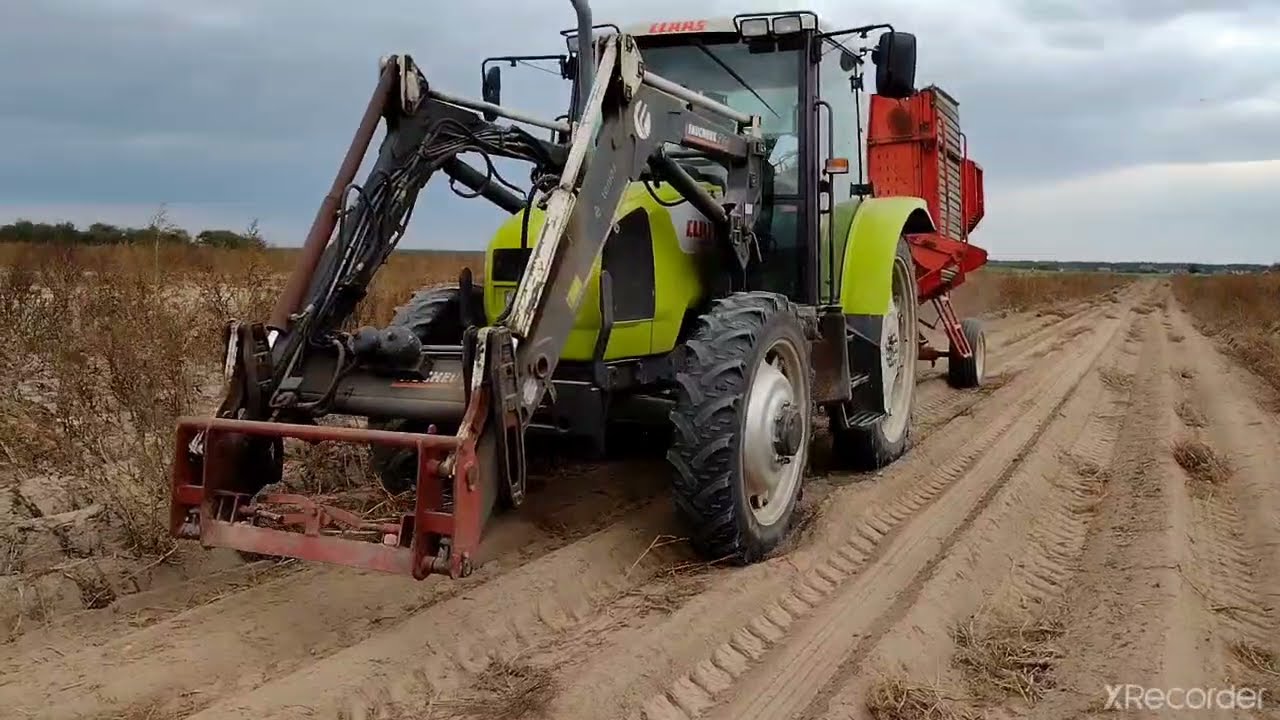 Wykopki 2021 (Claas Ares 550 Rx Grimme Lk 650)