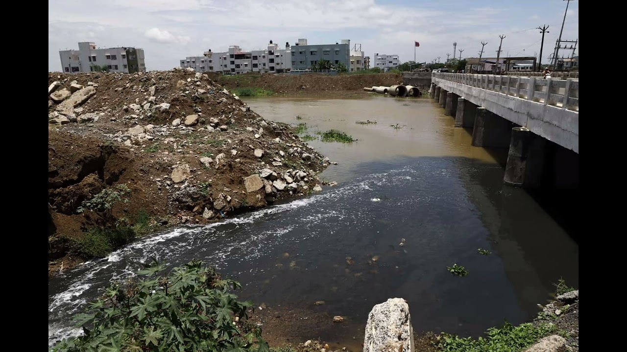 Biography of 💚 Adyar river