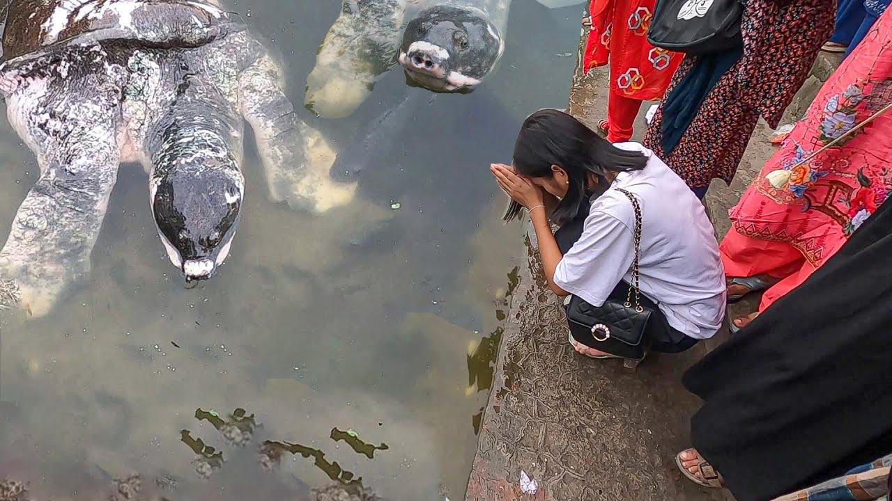 Walk in 🇧🇩 Bayazid Bostami Mazar Chattogram Bangladesh | Walking Tour