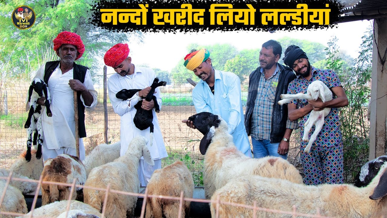 नन्दों खरीद लियो लल्डीयां || बोध्या मंगल्या की एसी कोमेडी पहली बार देखोगे | Bodhya Manglya Ki Comedy