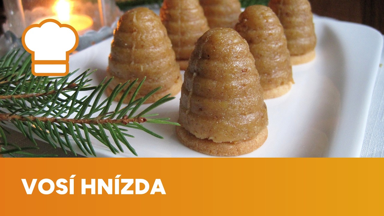 Moje vosí hnízda