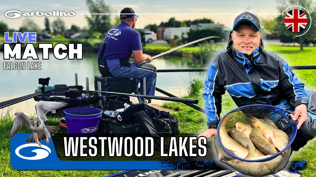 LIVE MATCH FISHING AT WESTWOOD LAKES WITH PETE BLACK | FALCON LAKE | GARBOLINO UK