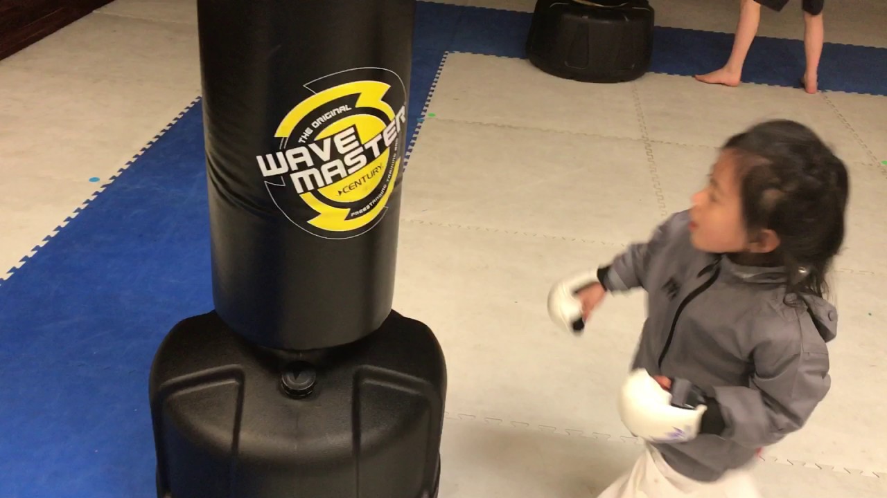 Ageless Karate Las Vegas Toddler Bag Work