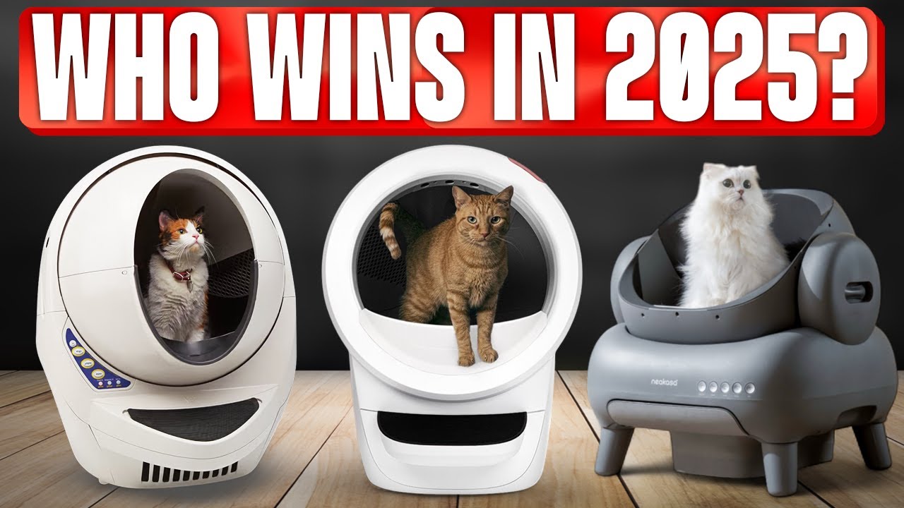 TOP 5 Best Automatic Litter Boxes 2025