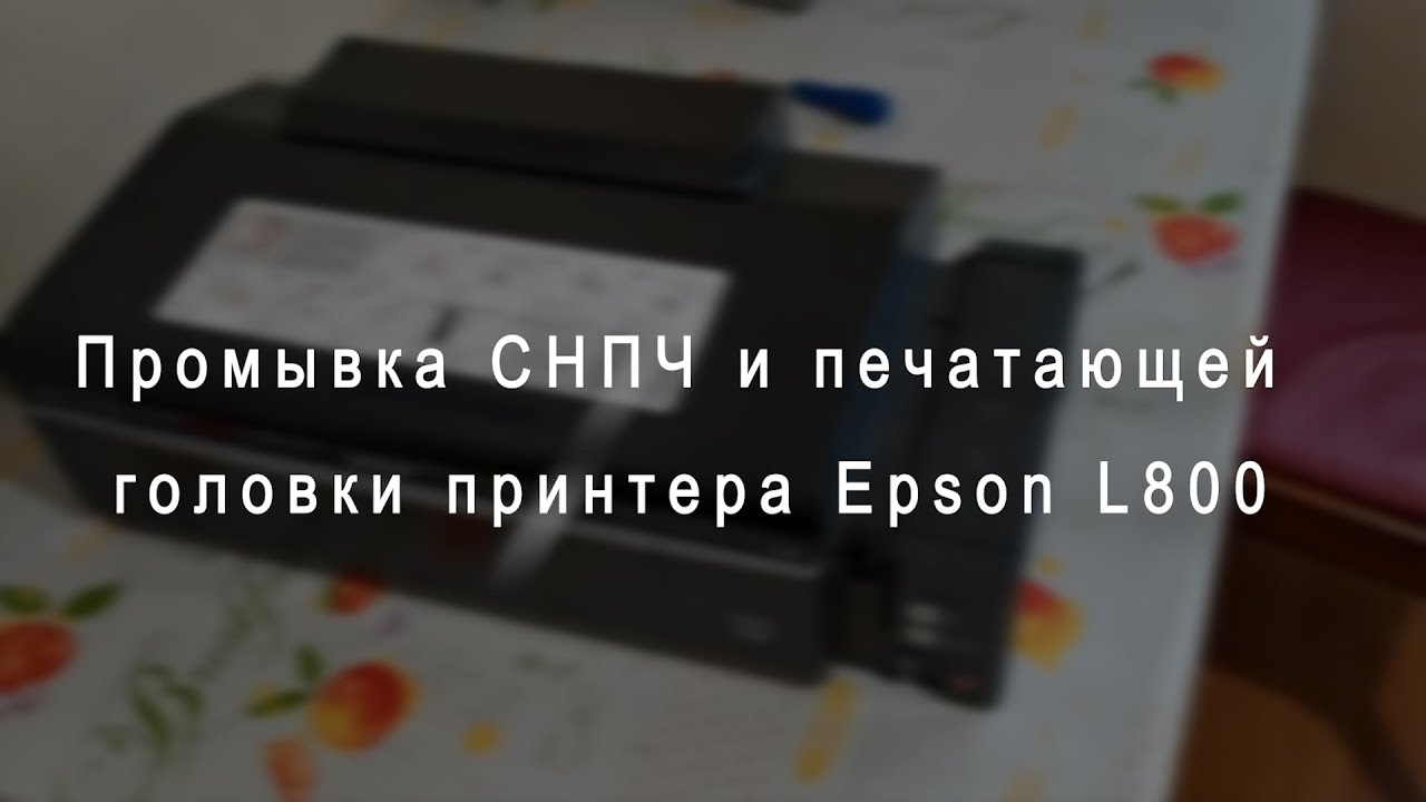 Промывка принтера Epson L800, прочистка печатающей головки, СНПЧ