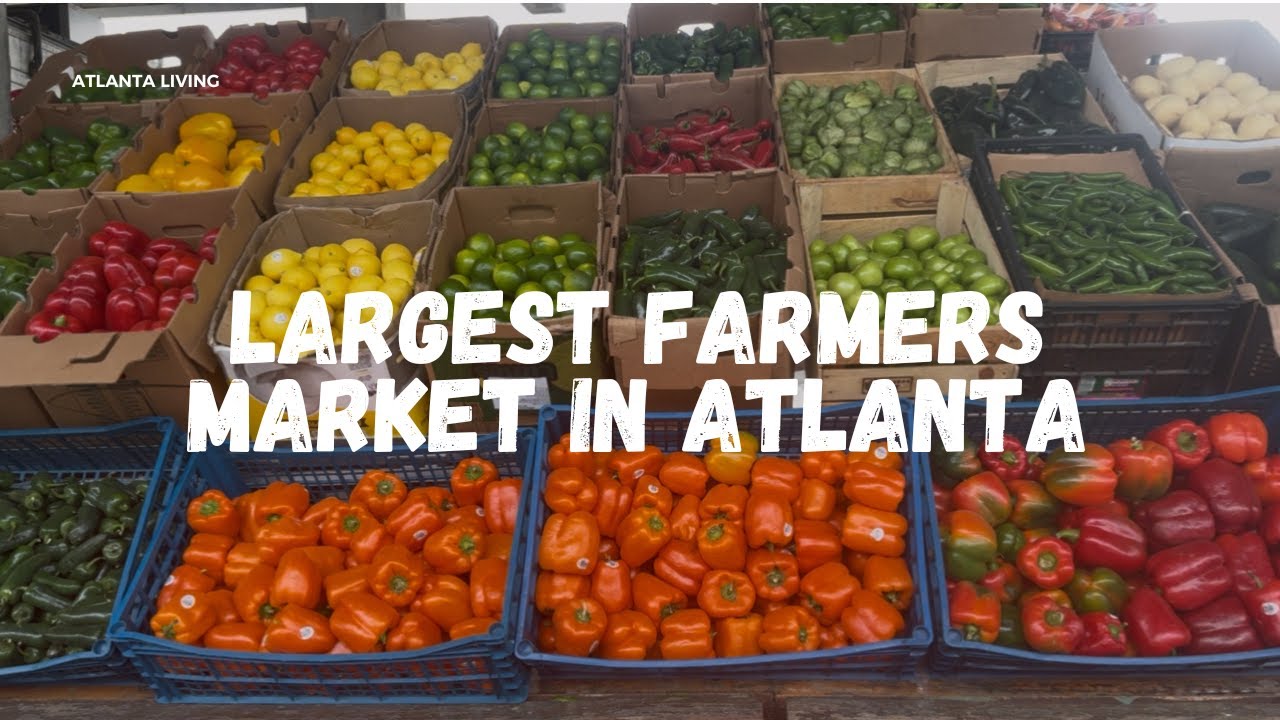 3 Months of Groceries for $140 | Atlanta States Farmers Market
