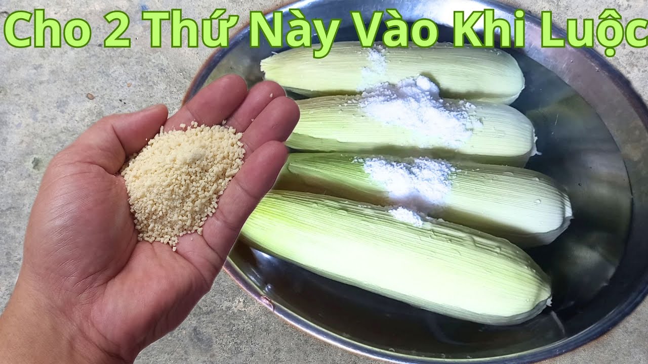 Hóa Ra Luộc Ngô Ngon Là Nhờ 2 Thứ Này. Bà Bán Bắp Không Bao Giờ Chỉ Cho Chúng Ta Biết Bí Mật Này