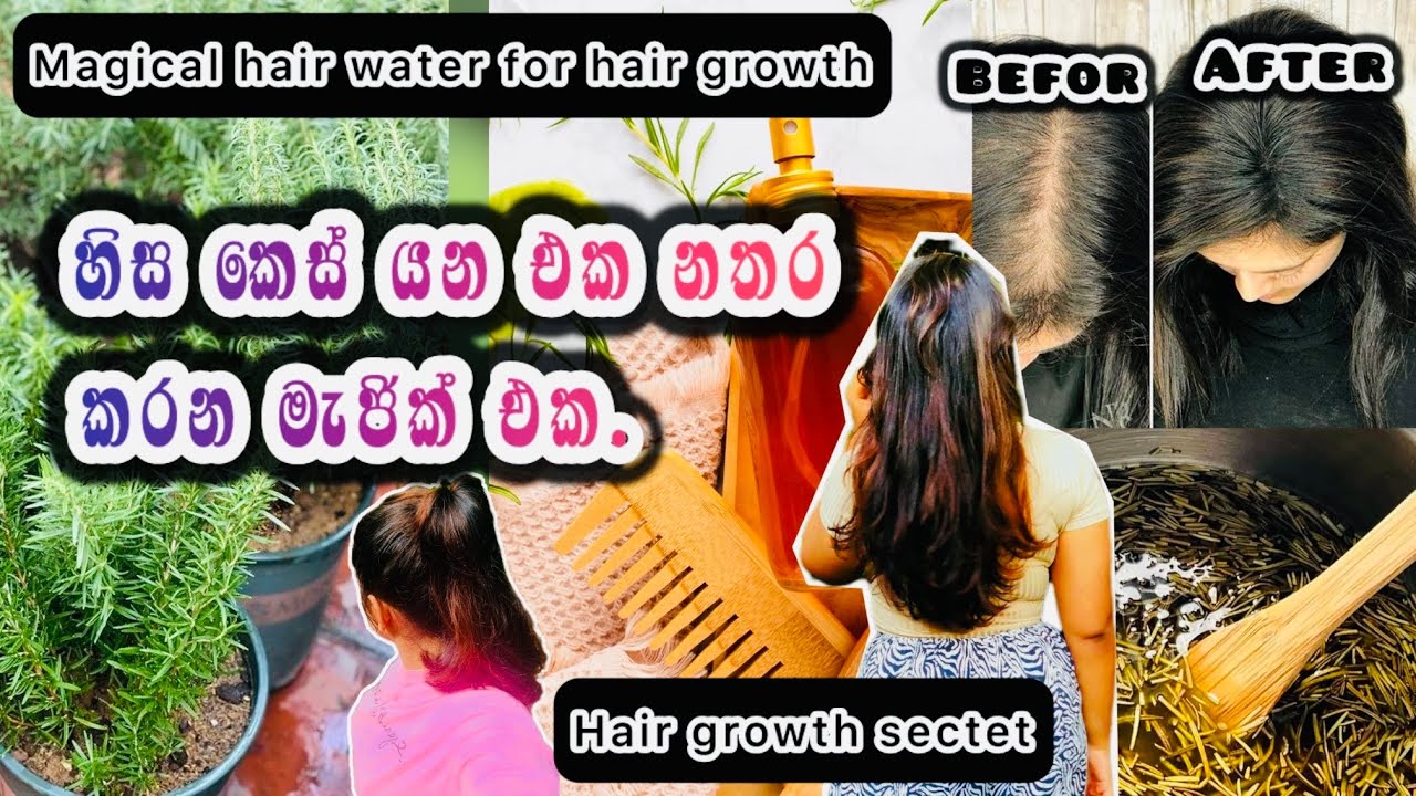 අහුරු පිටින් කොන්ඩේ යන එක නතර කරලා කොන්ඩේ වවන වතුර ඒක😍🌚|•Rosemery Water For Hair Growth