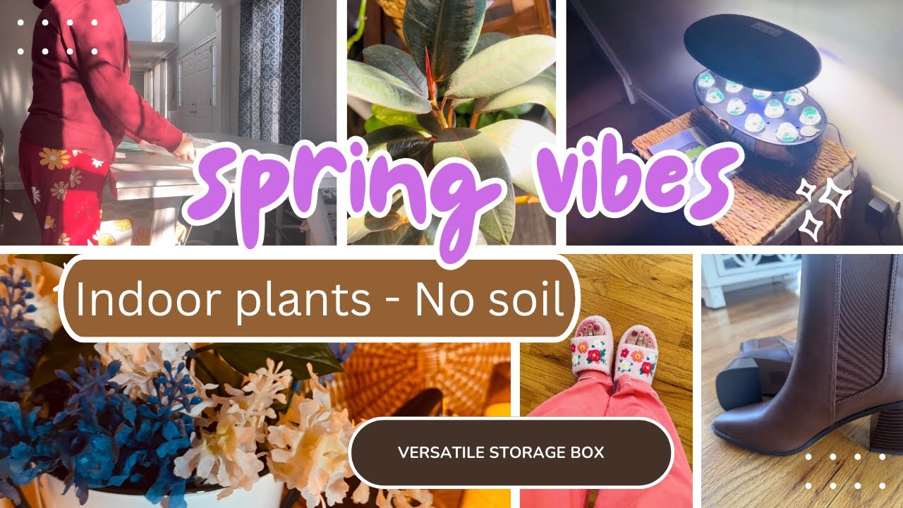 🌸🌼 Spring Home Refresh & Indoor Planting Without Soil 🌼 Easy & Beautiful Ideas