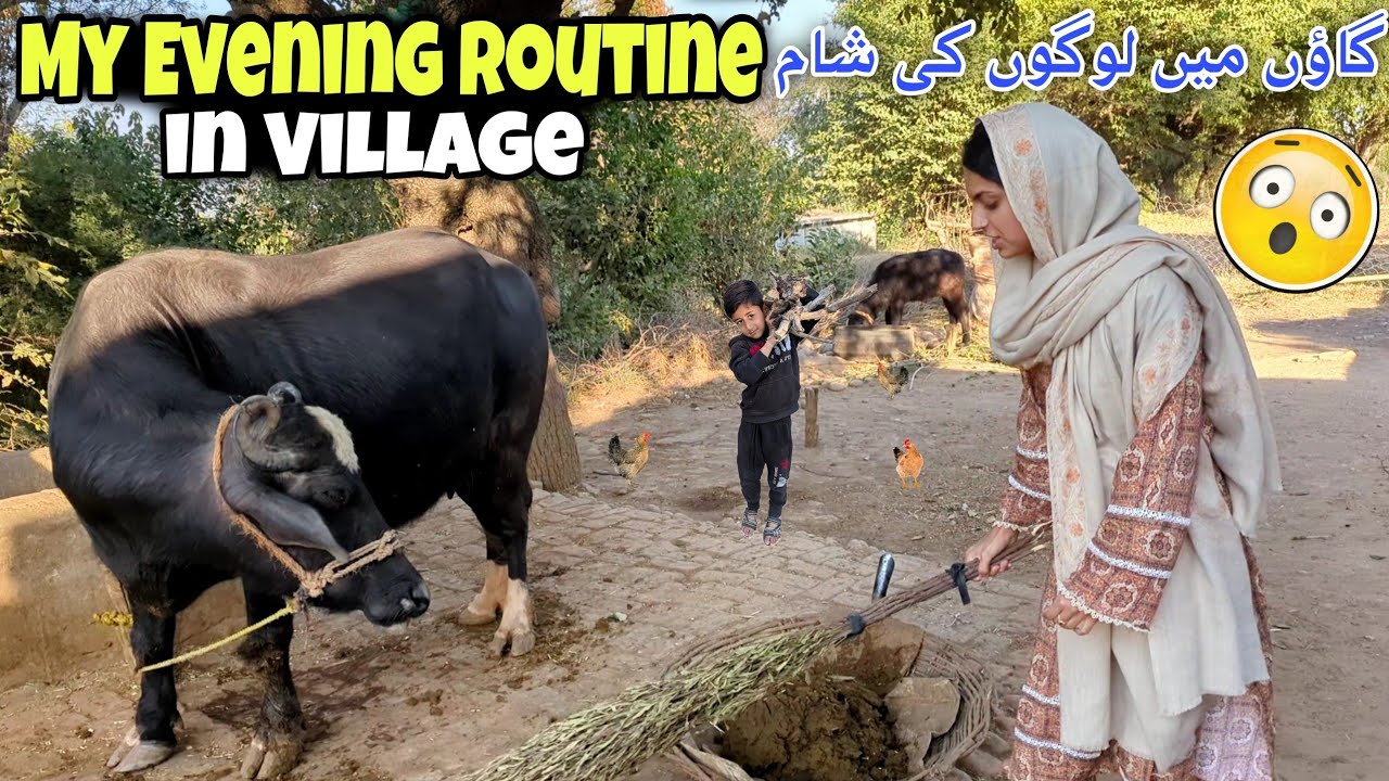 My Evening Routine in Village | گاؤں میں لوگوں کی شام | Kv Family |