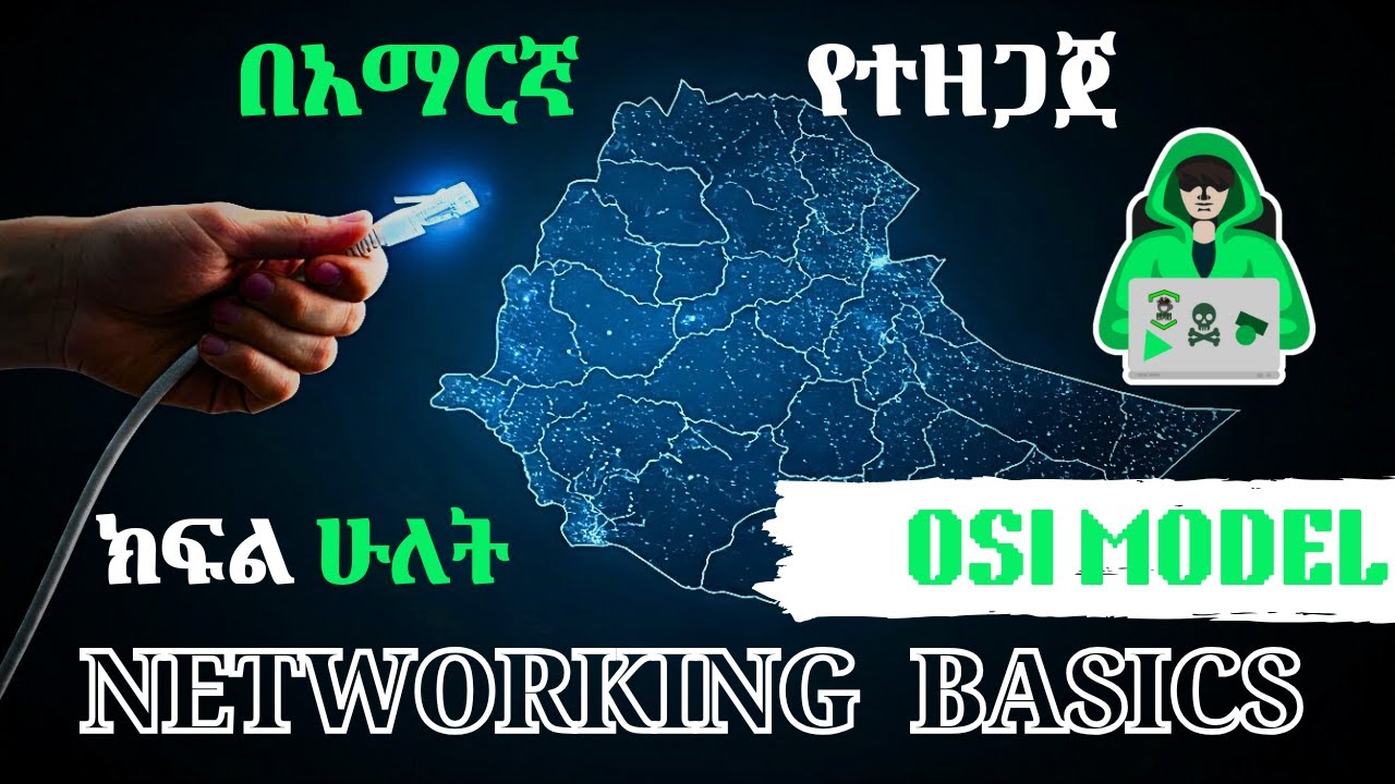 🟣 OSI ሞዴል በዝርዝር
