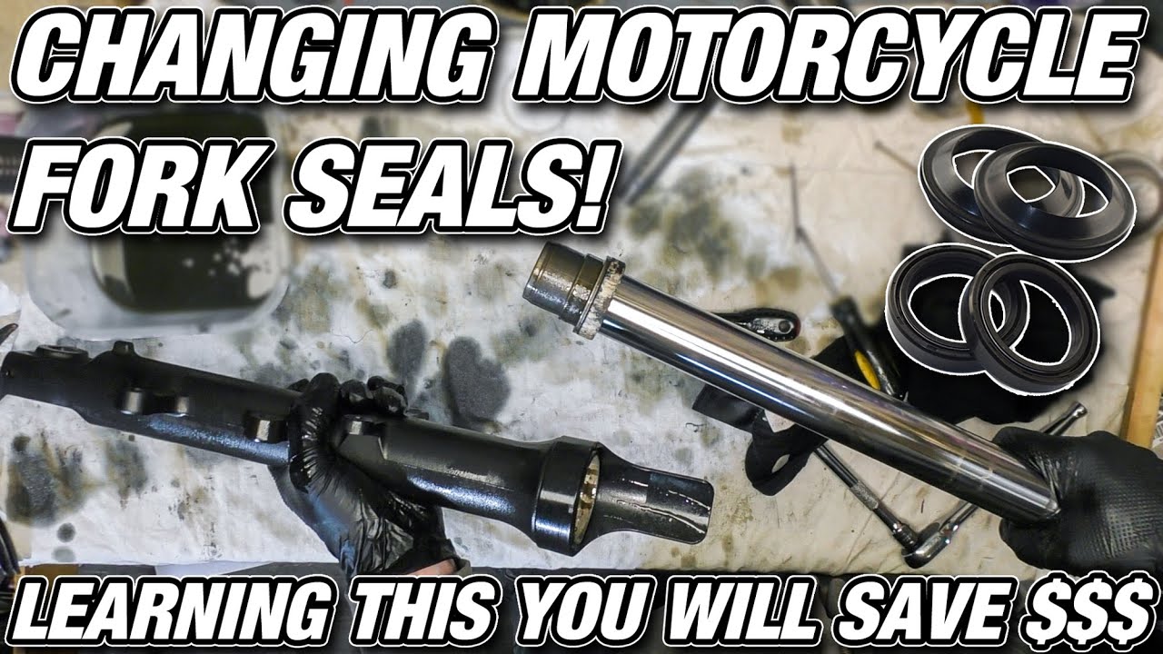 Changing Motorcycle Fork Seals! - Save a lot of Money!