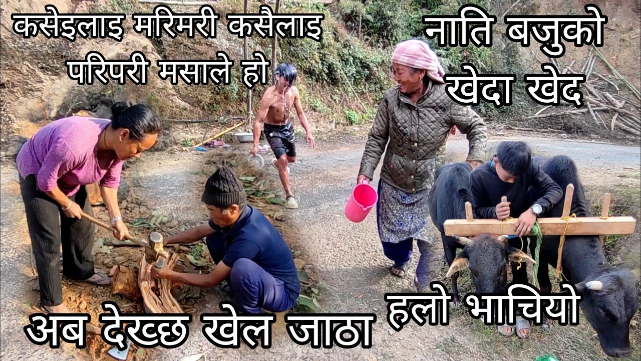 नाति बजुको पर्यो फेरि लफडा तेरि मासाले यतिको केटालाइत म दलिहल्छुनी 