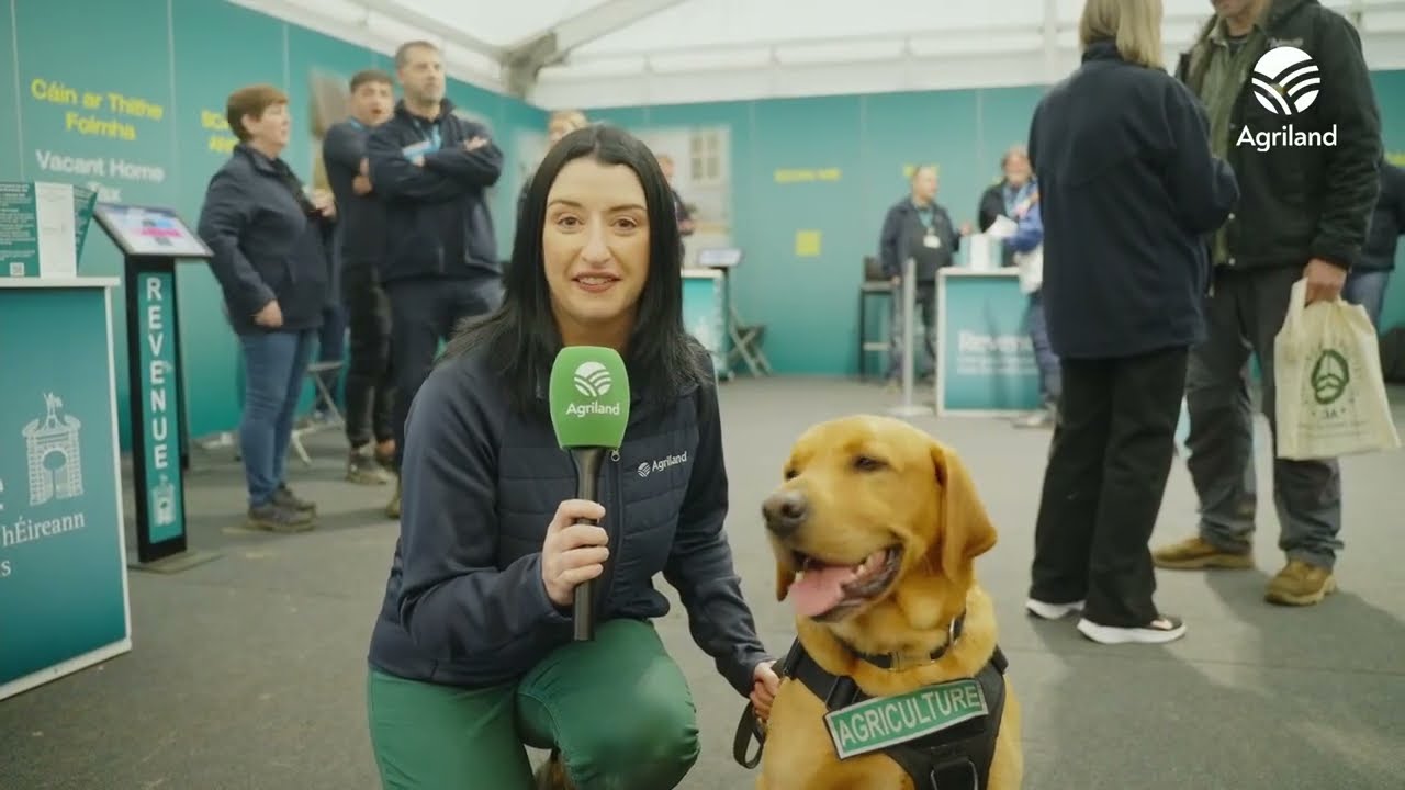 National Ploughing Championships 2025 - Day 3 livestream