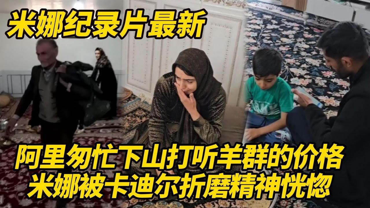 公公匆忙下山为米娜的事情奔波！米娜被前夫折磨得精神恍惚，没有拿到地契如何转卖？#纪录片 #伊朗游牧民生活