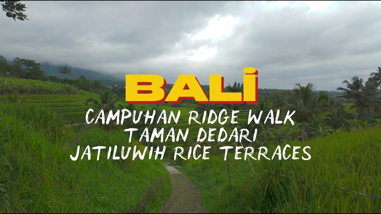 Bali’de Ruh Dolu Bir Gün: Campuhan Yürüyüşü, Taman Dedari ve Jatiluwih Macerası