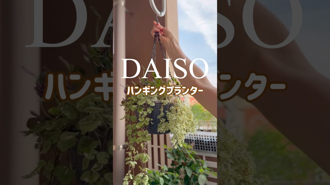 【DAISO】ハンギングプランターを2倍！3倍楽しみたい♪ #ベランダガーデン #100均diy #100均園芸　#gardenhacks