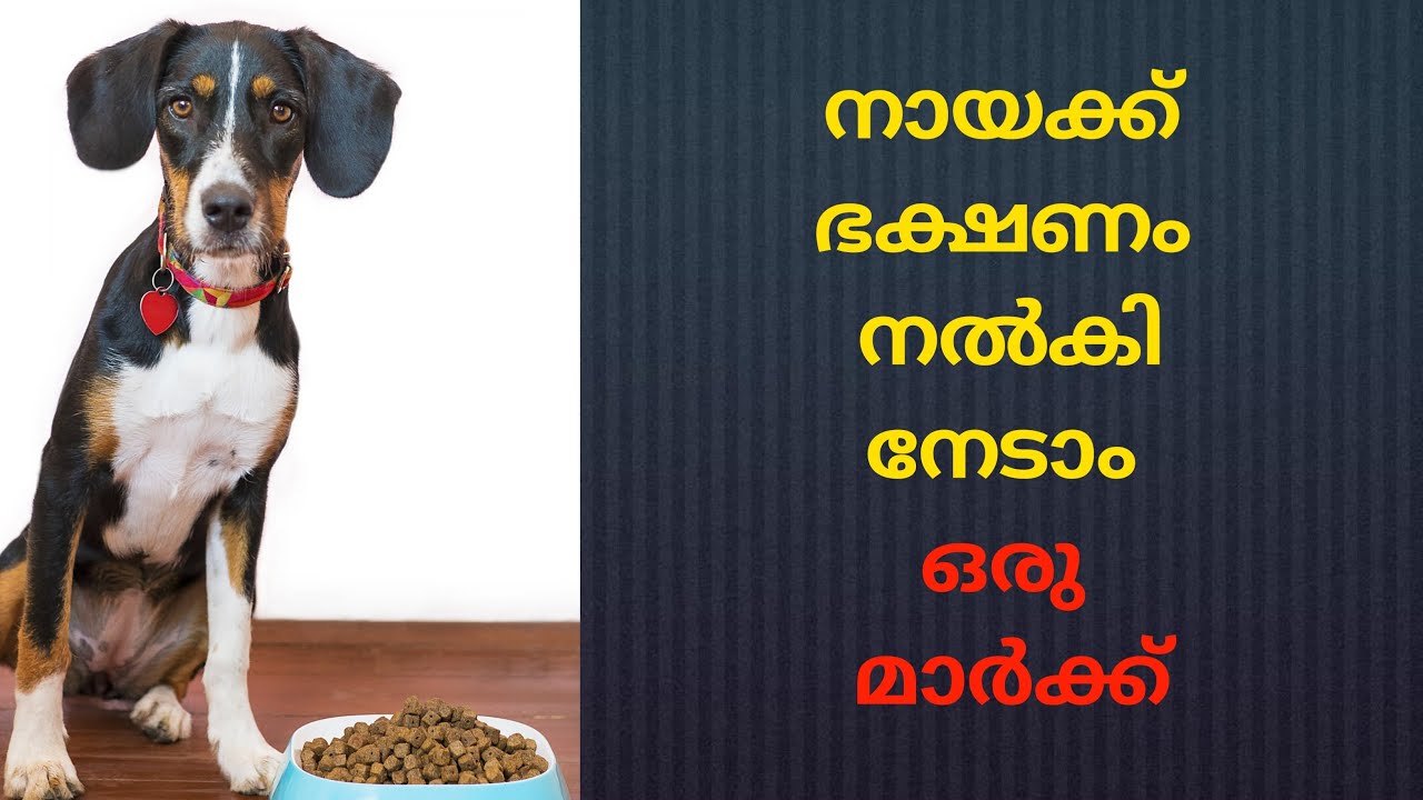 Pavlov's theory of classical conditioning|| learning theories
