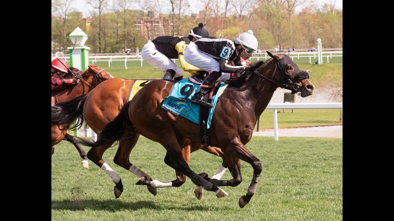 Laurel Park Carrera 6 (King T. Leatherbury Stakes) - 20 de Abril 2019