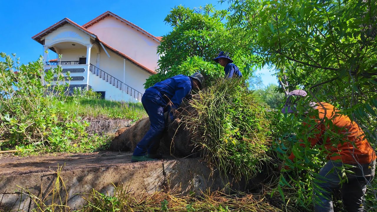 He Bought This Mansion for $500,000 — And What He Did Next Shocked Everyone