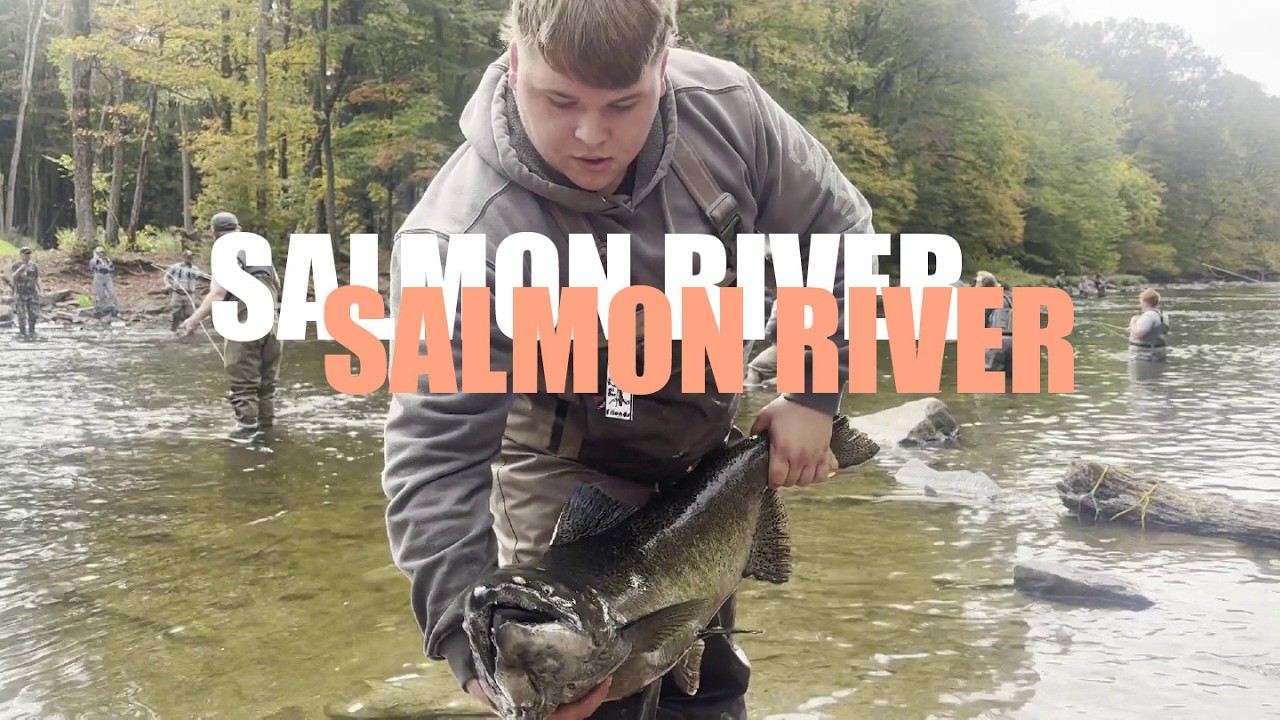 SALMON RIVER SALMON RUN?!