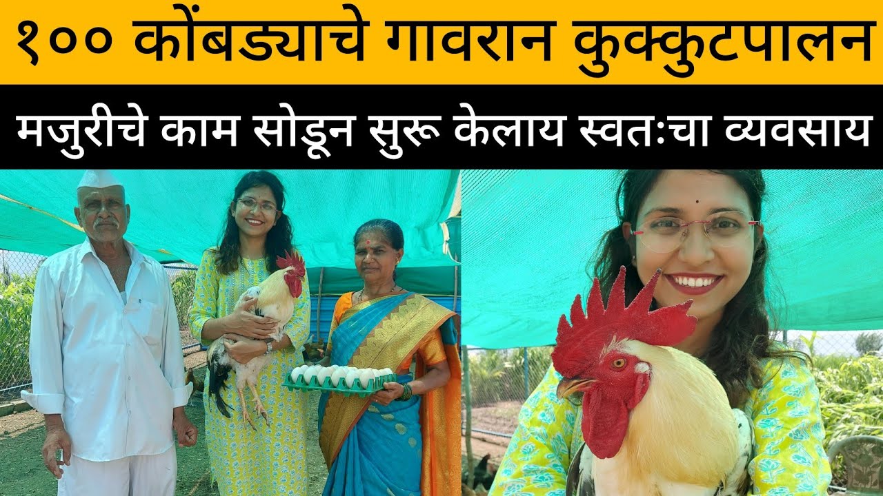 गावठी कुक्कुटपालन कसे करावे | Desi Poultry Farm | पारंपारिक देशी कुक्कुटपालन