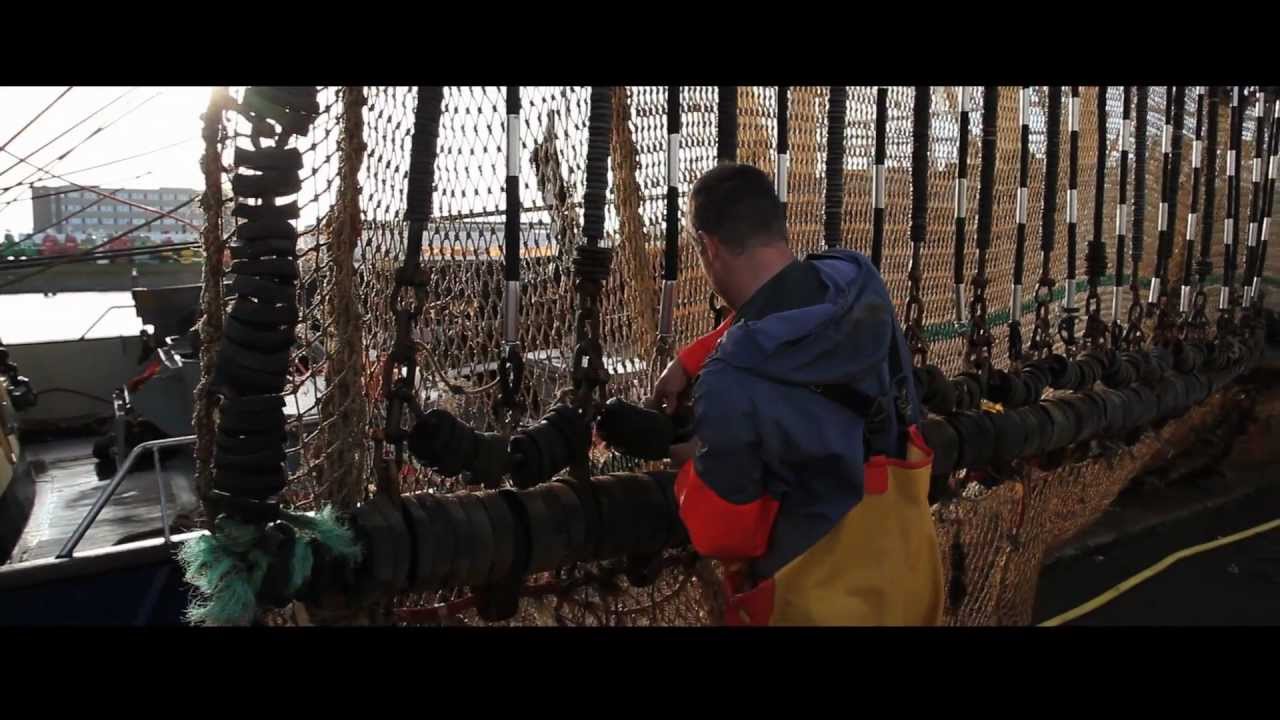 Het verhaal van de Tong